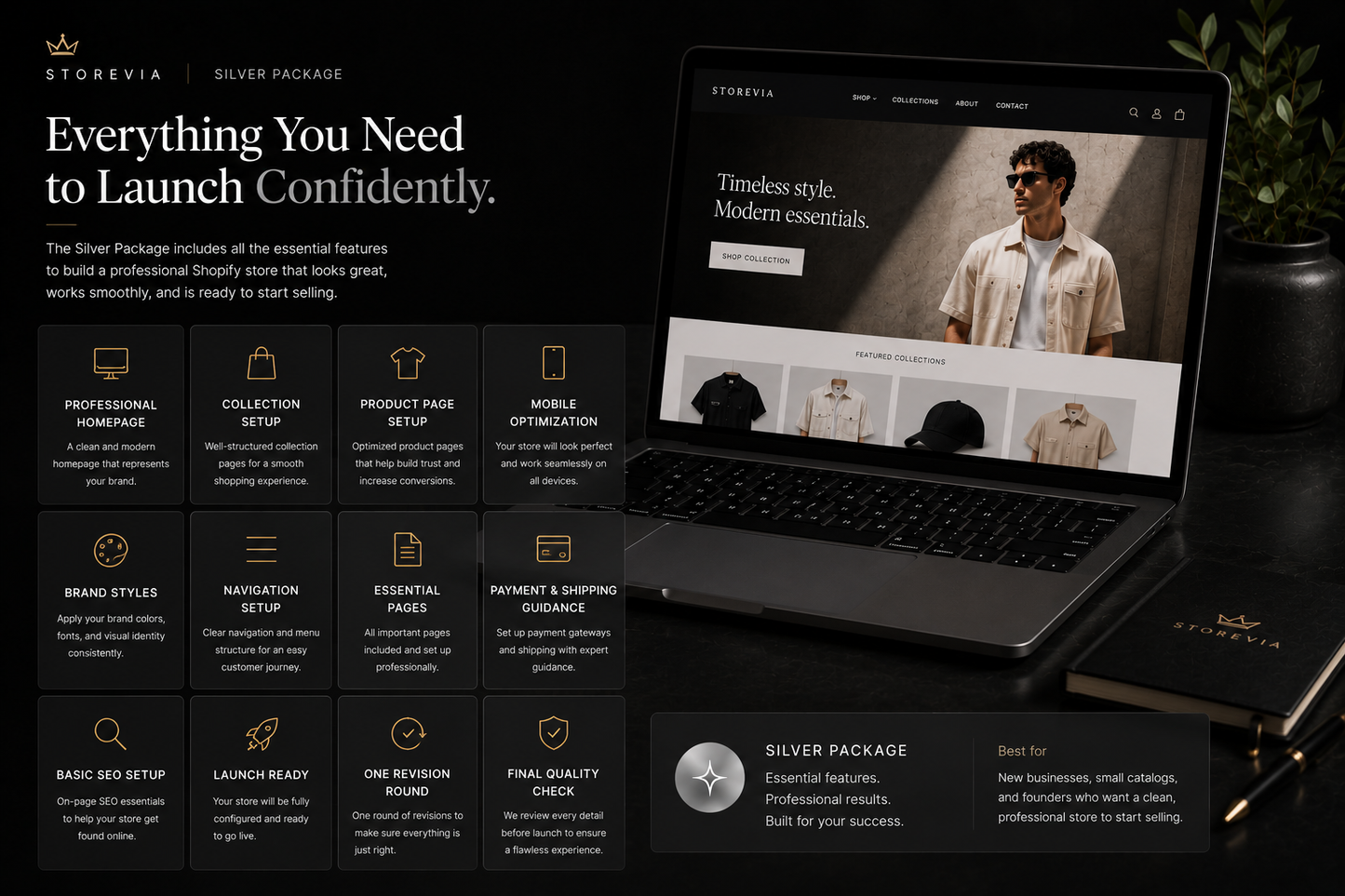 Professional Shopify Store – Silver Package